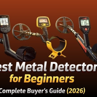 Best Metal Detector for Beginners
