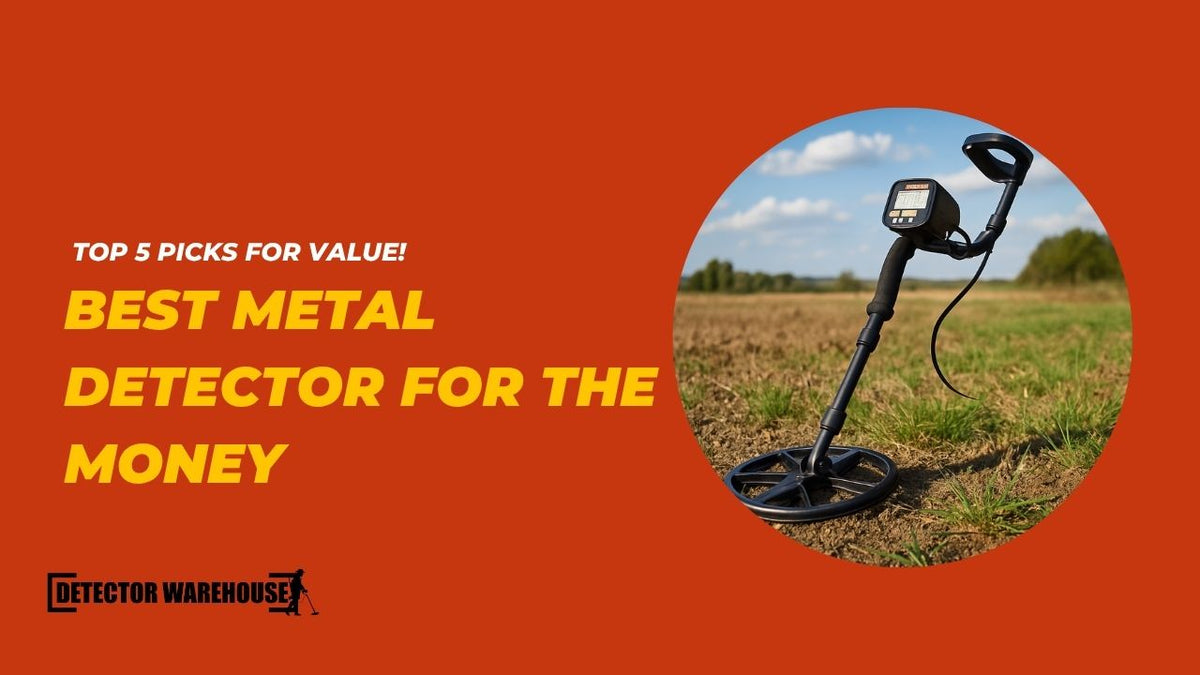 Best Metal Detector for the Money
