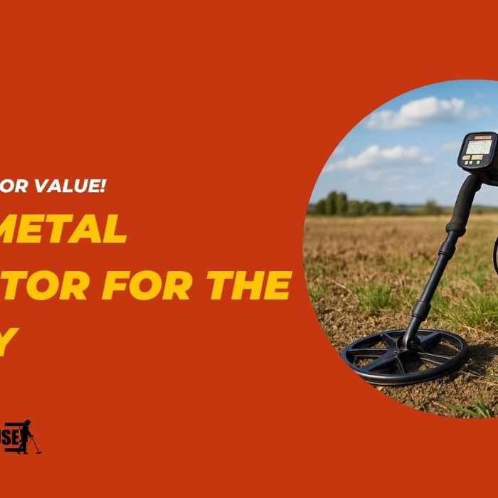 Best Metal Detector for the Money