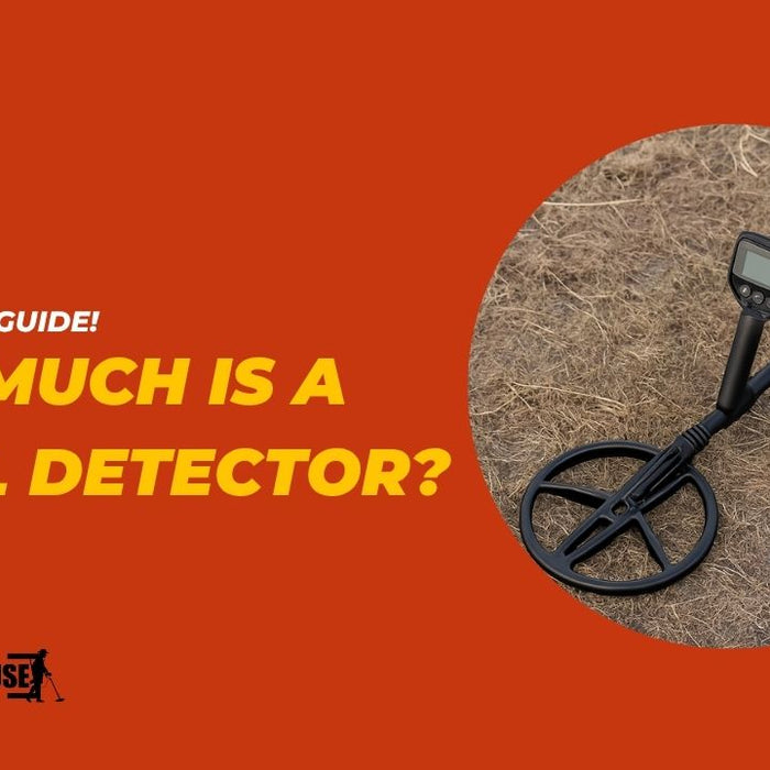 How Much Is a Metal Detector?