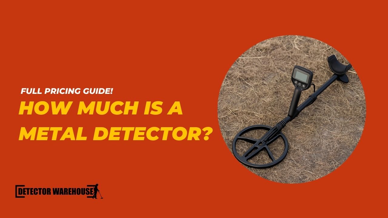 How Much Is a Metal Detector?